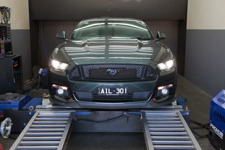 Mustang (3)