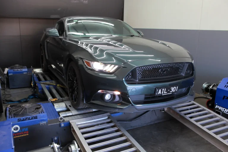 Mustang (4)
